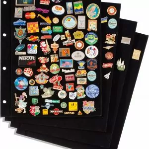 Feuilles pin's